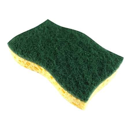 TAMPON / EPONGE VERT GRAND MODELE X10