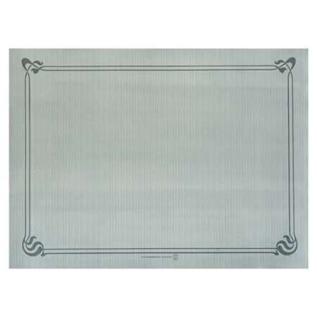 SET DE TABLE 48 G/M2 31x43 CM GRIS X500