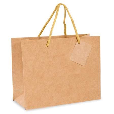 SACS BOUTIQUE ANSES CORDON 40+15x32CM NATUREL KRAFT X10