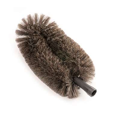 TETE DE LOUP PLACARD